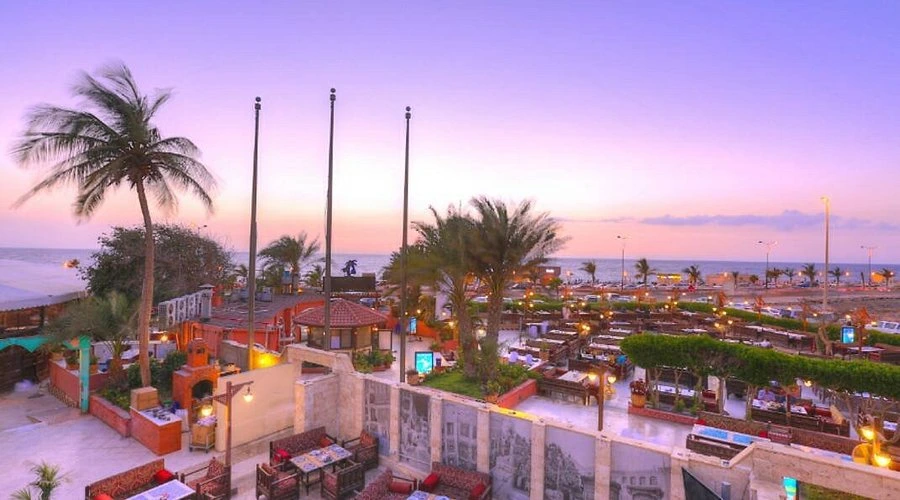 أفضل مطاعم ابها لعام 2026: مأكولات سعودية وعالمية قريبة من وسط المدينة