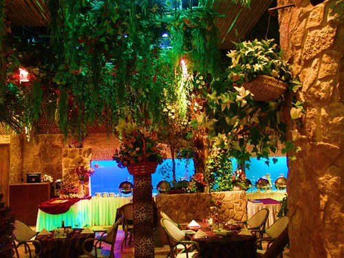 تجربة تناول الطعام في مطعم الشرفة